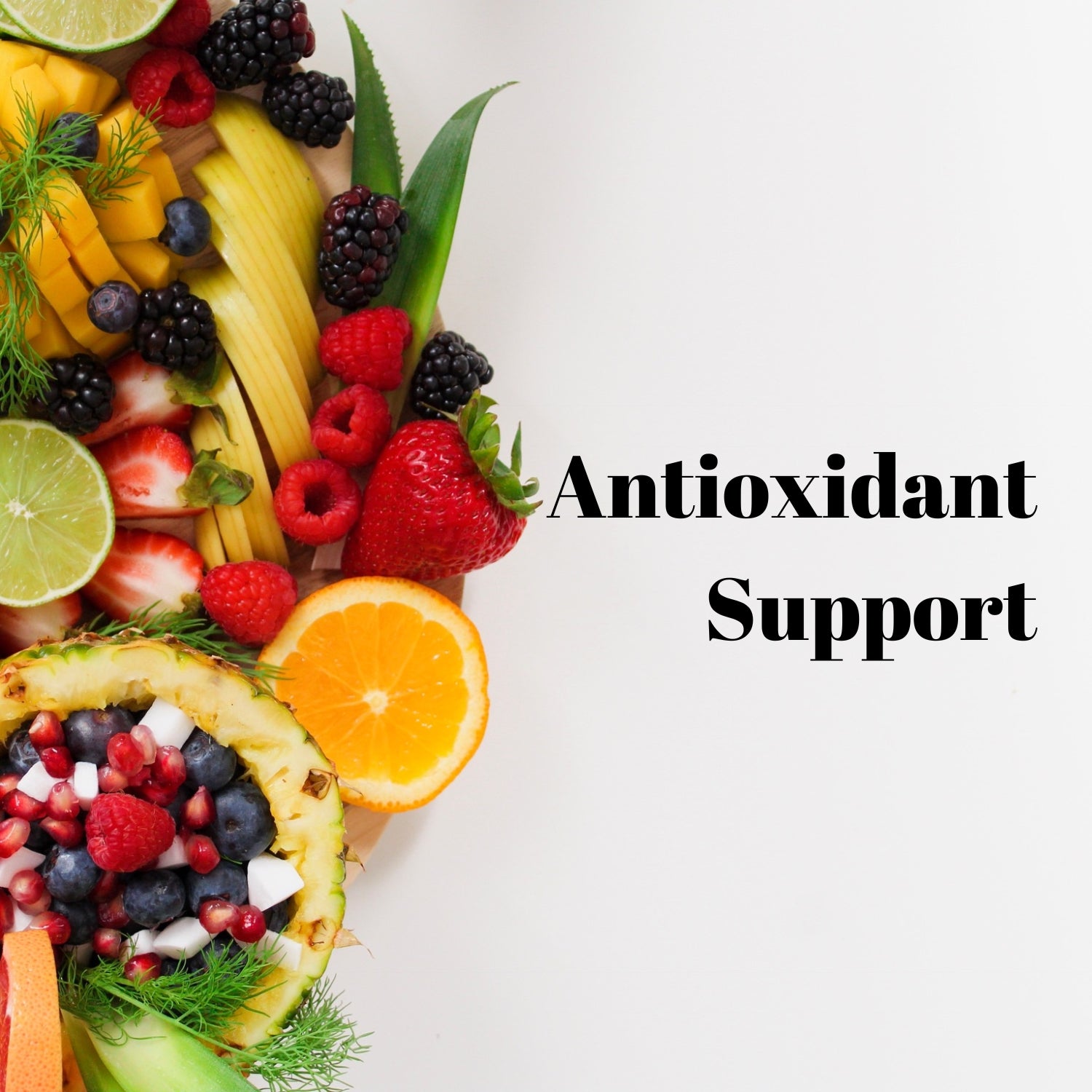 Antioxidants  & Oxidative Stress Support