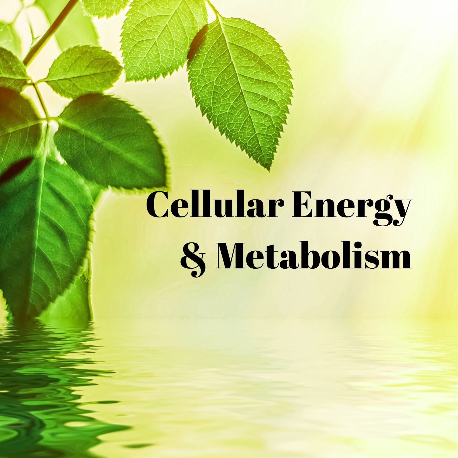 Cellular Energy & Metabolism