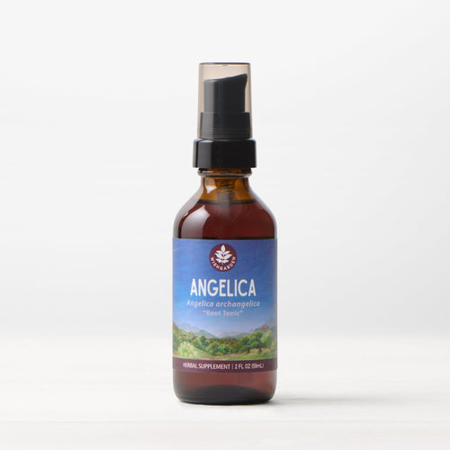 Angelica Root Tincture
