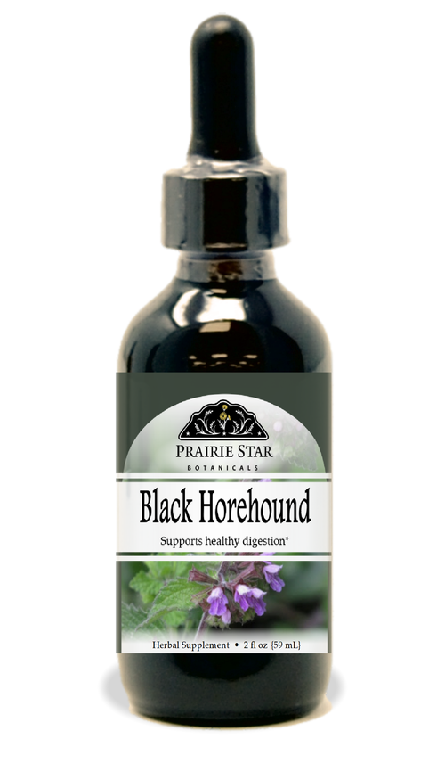 Black Horehound
