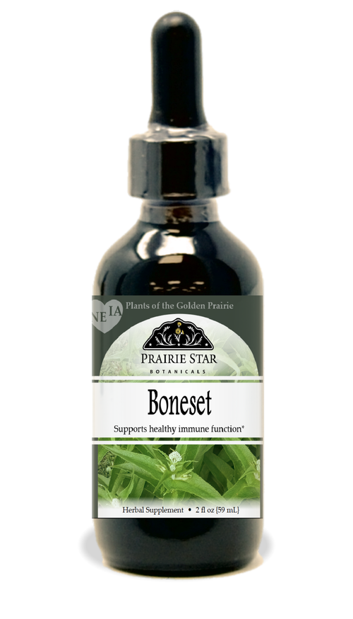 Boneset
