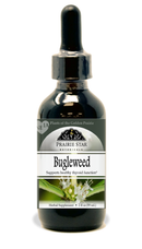 Bugleweed