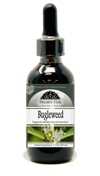 Bugleweed