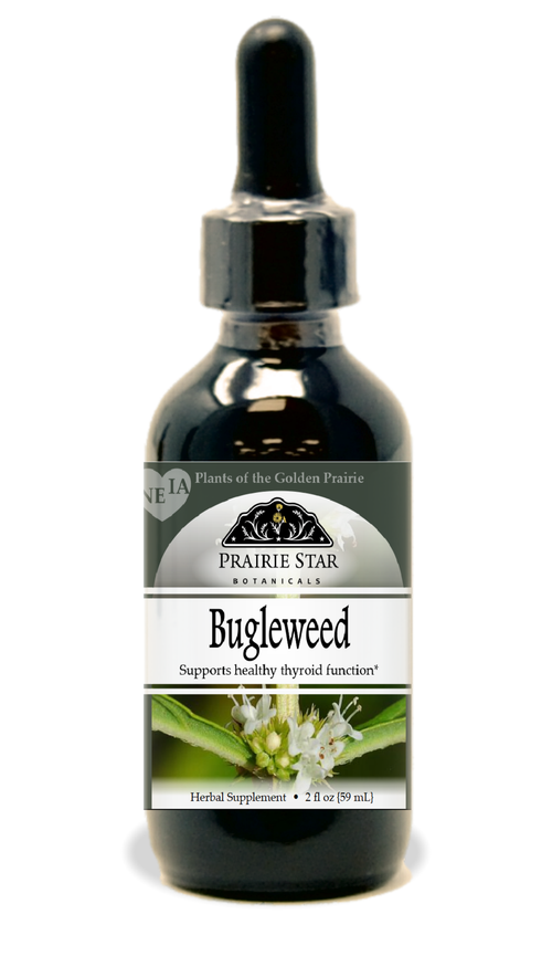 Bugleweed