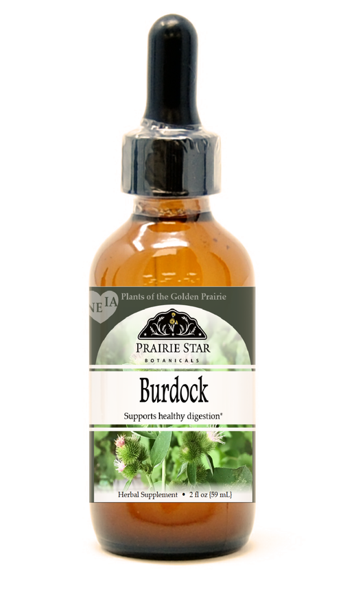 Burdock