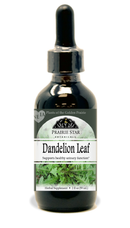 Dandelion
