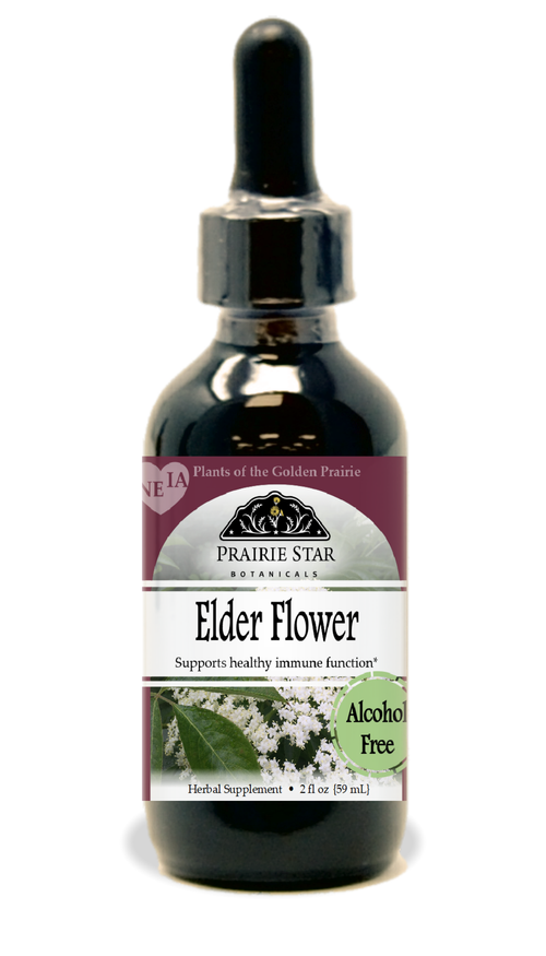 Elder Flower