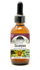 Elecampane