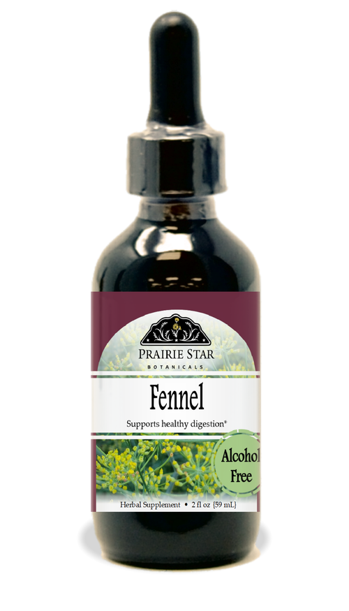 Fennel Seed