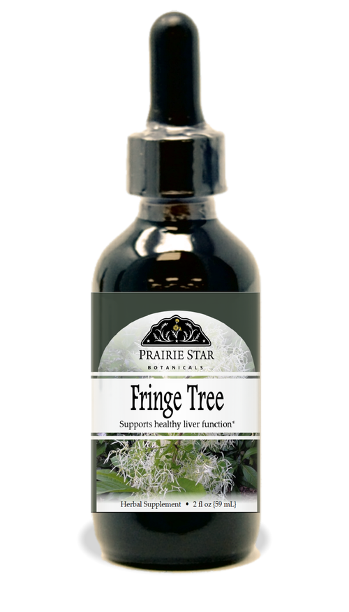Fringe Tree