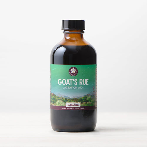 Goat's Rue, Lactation Aid