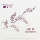 Goat's Rue, Lactation Aid