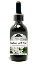 Hawthorn