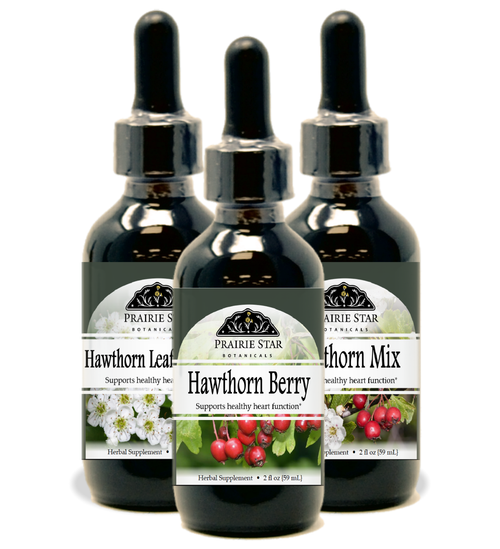 Hawthorn