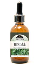 Horseradish