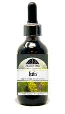 Isatis