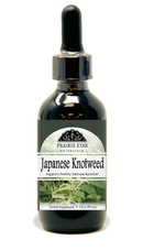Japanese Knotweed