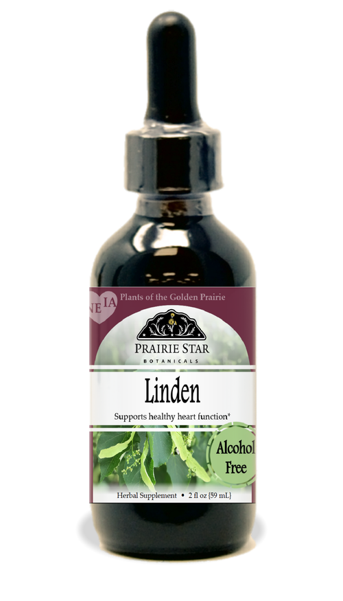 Linden