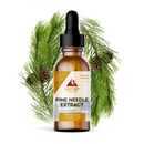 Pine Needle Extract, Pine Needle Tea Alternative, 267 mg