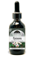 Pipsissewa