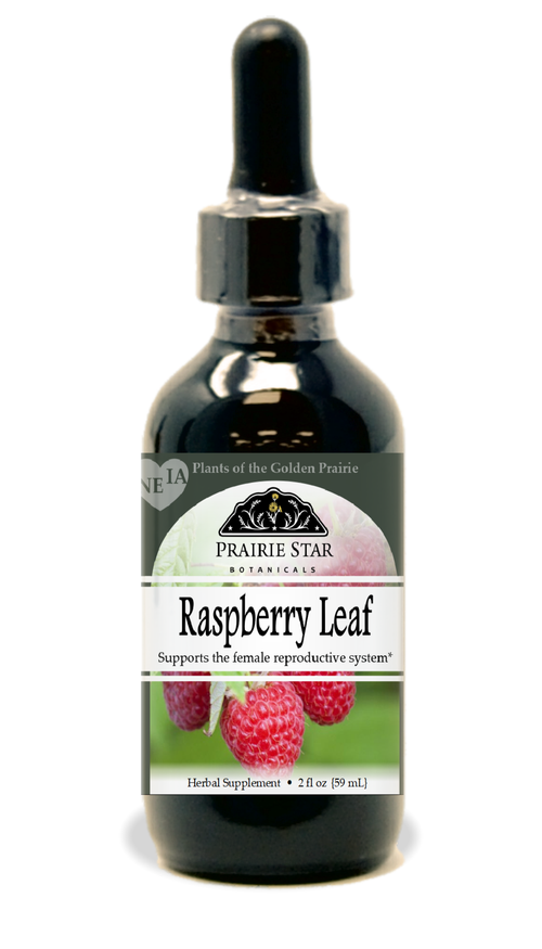 Raspberry Leaf