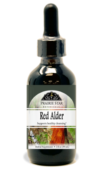 Red Alder