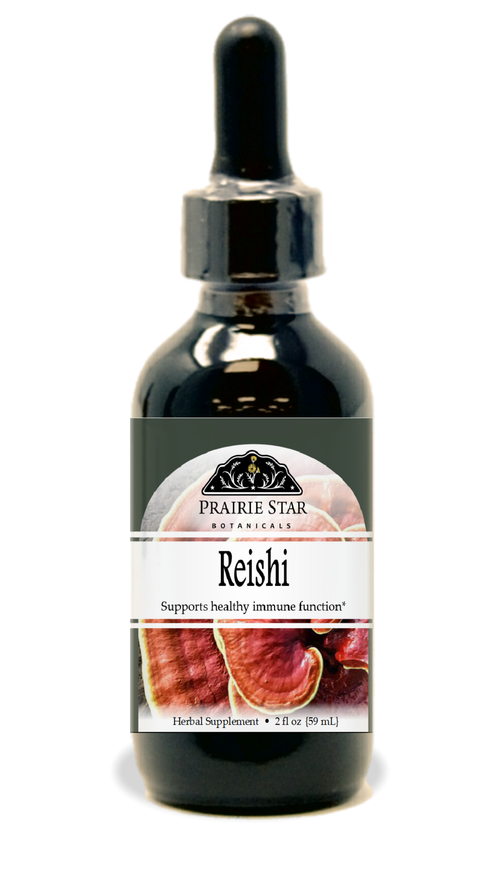 Reishi Mushroom