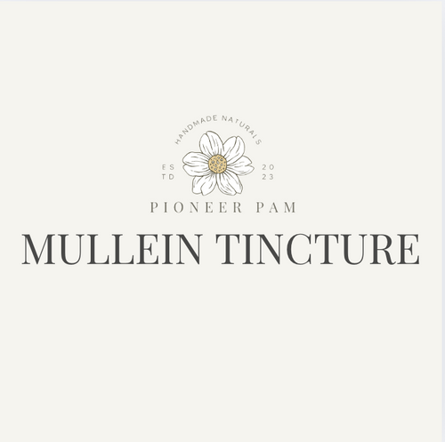 Mullein Tincture: Respiratory + Immune System Support