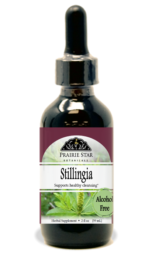 Stillingia