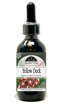 Yellow Dock