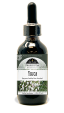 Yucca