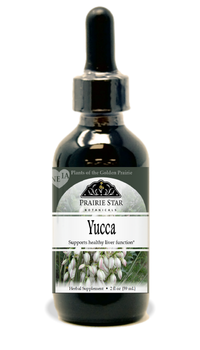 Yucca