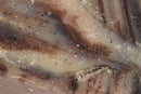 Wild-Harvested Spruce Soap, 6 oz Bar